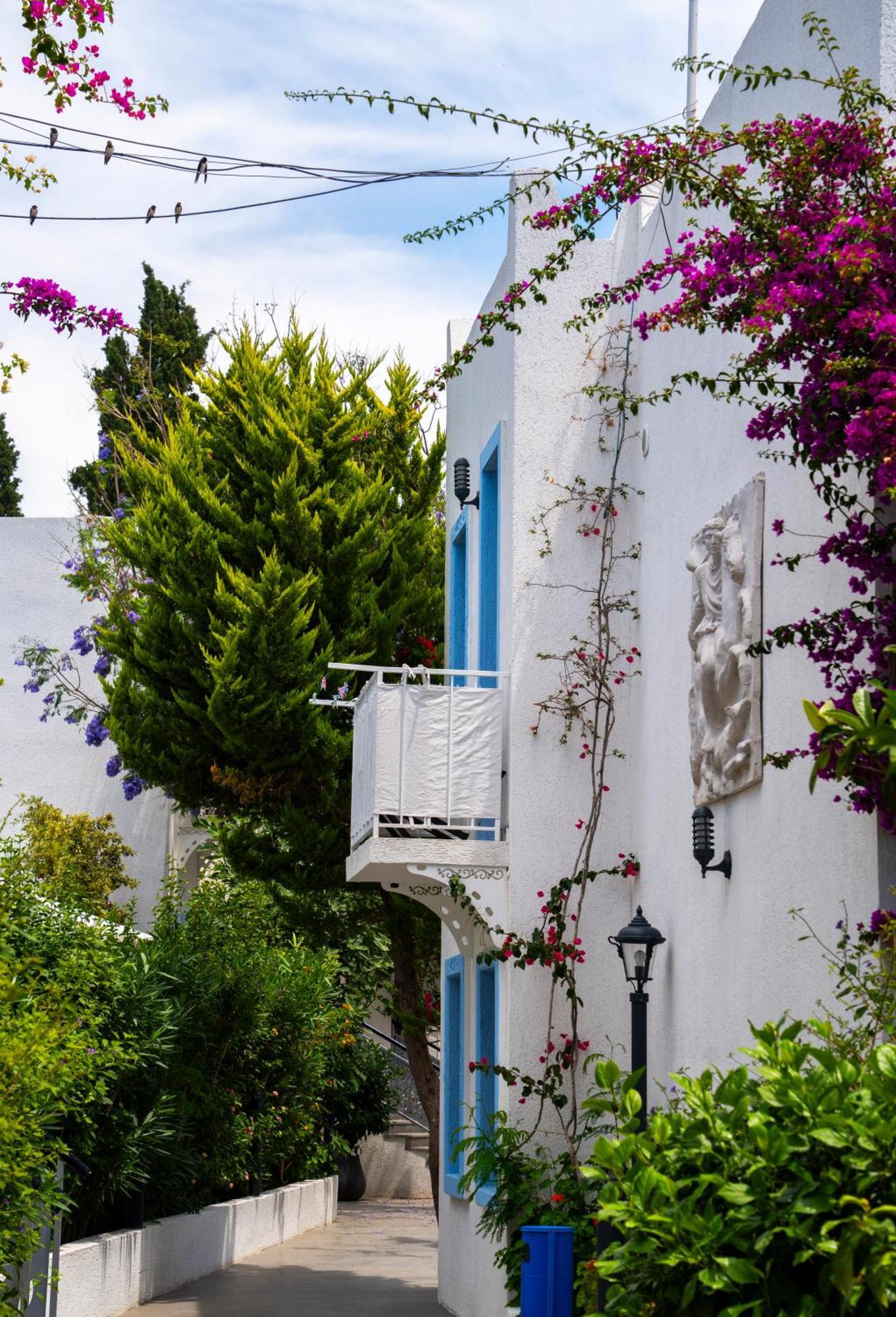 Manuela Boutique Hotel Bitez Exteriör bild